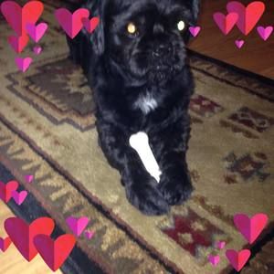 Meet your Posher, Vera